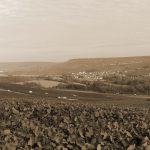Photo du terroir d'Œuilly dans la vallée de la Marne