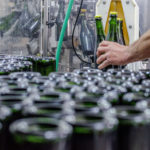 Photo de bouteilles dans un bac de congélation avant dégorgement